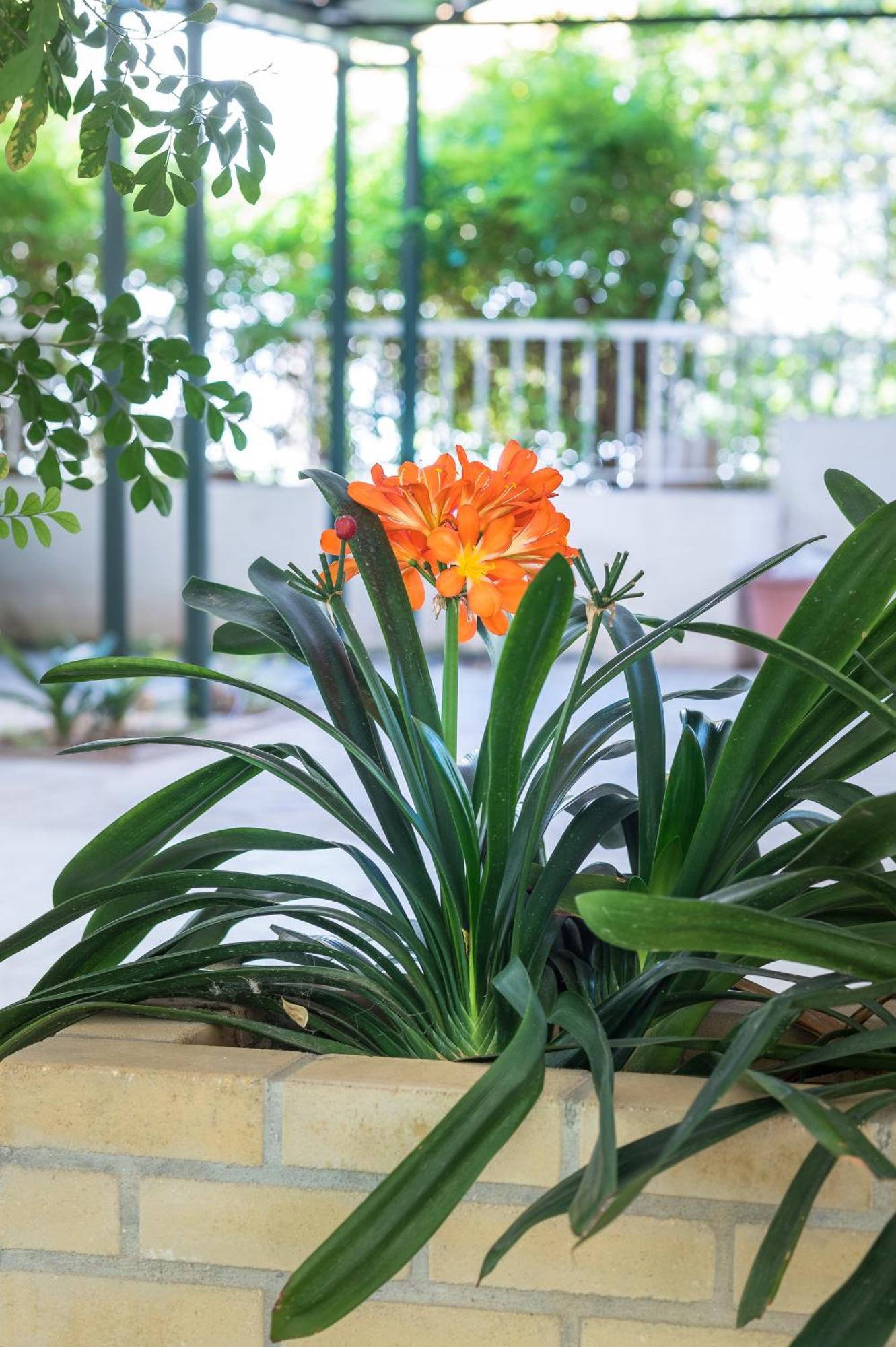 Glyfada'S Cosy Apartments 雅典 外观 照片