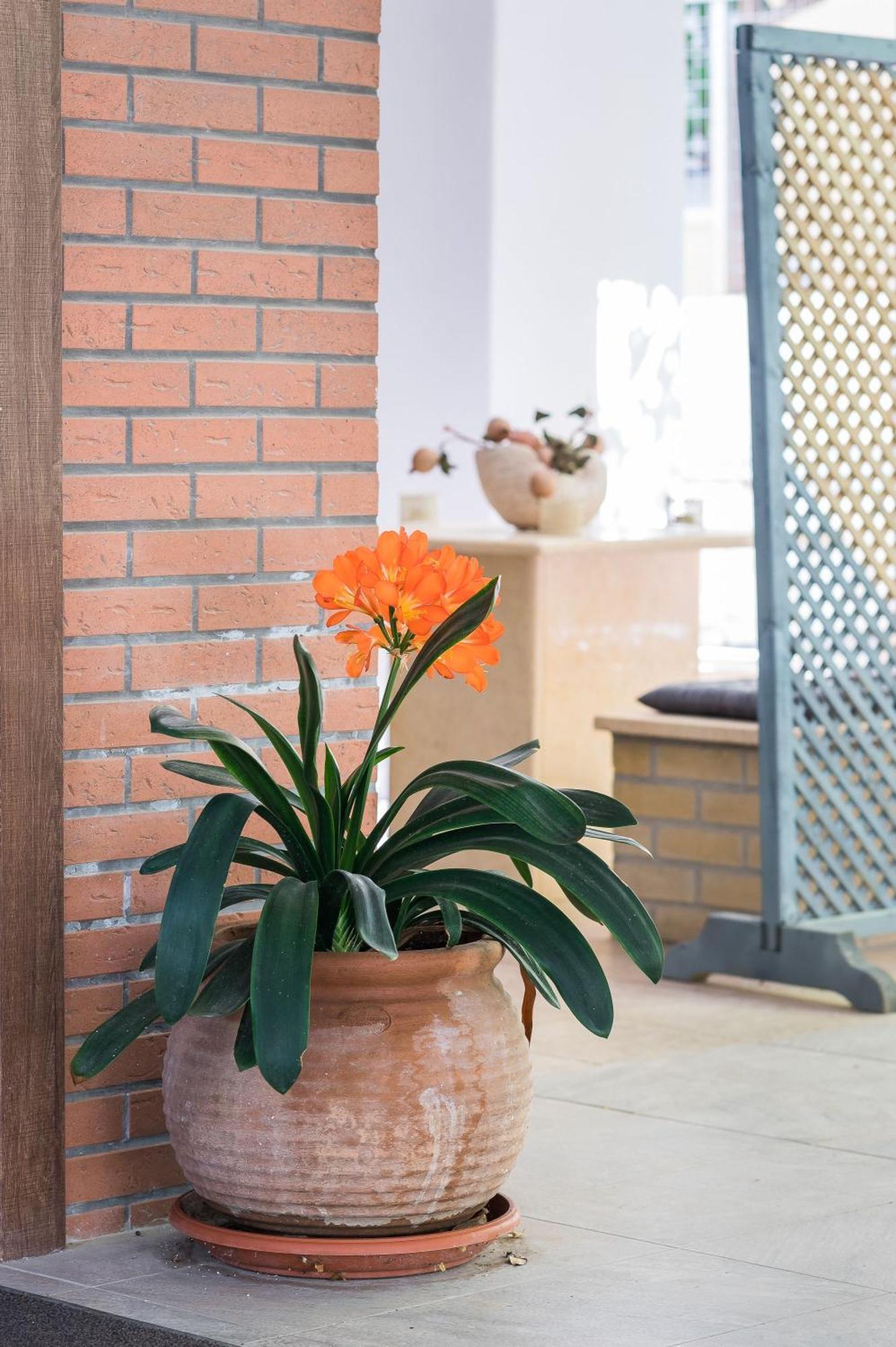 Glyfada'S Cosy Apartments 雅典 外观 照片